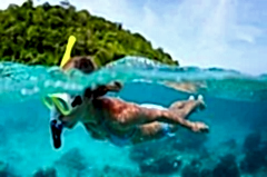 SNORKELING (TEKNE MİSAFİR)