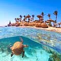 Sharm Dalış Turu 2026 | 5★ Otel + 6 Dalış